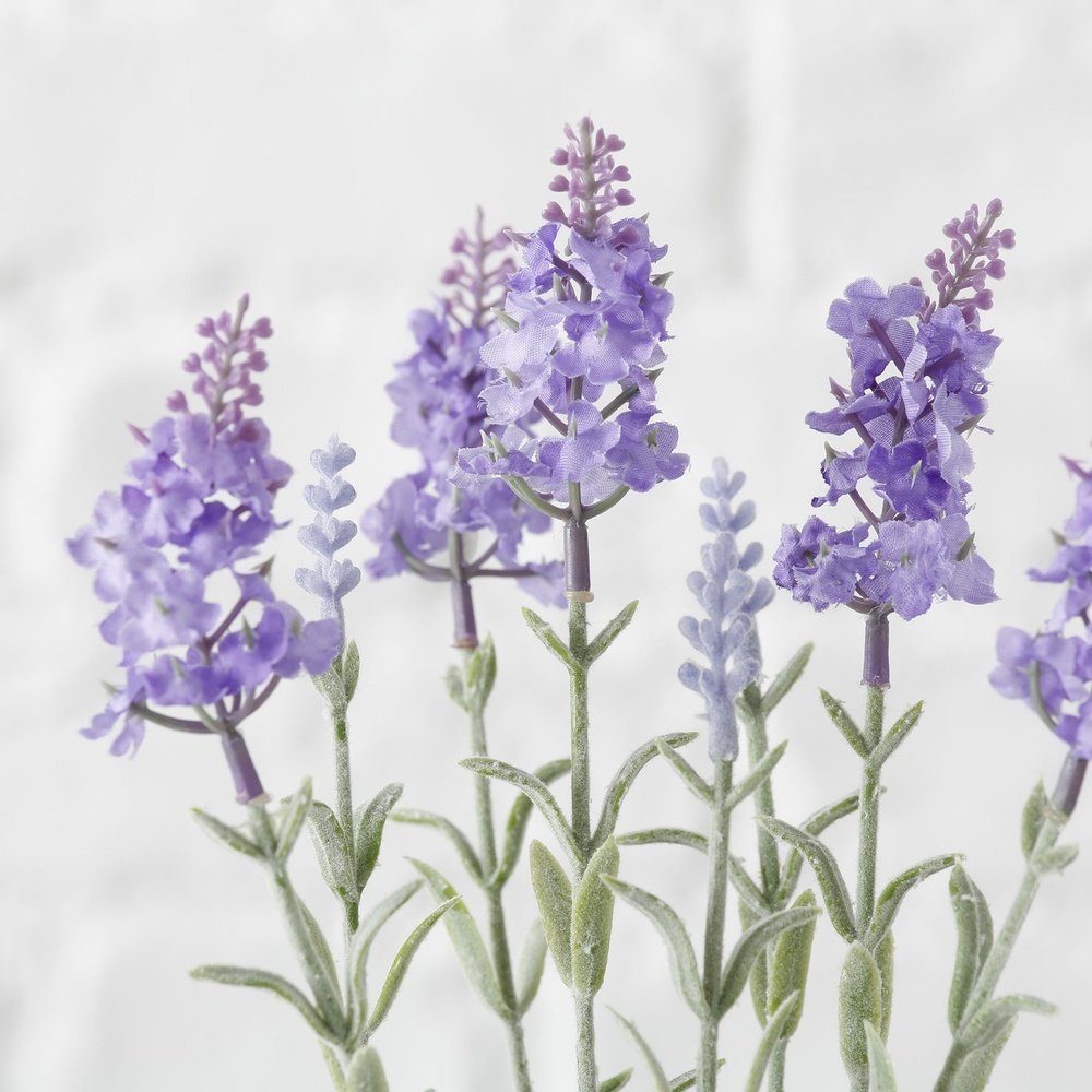 Lavendel Deluxe Homeart 2