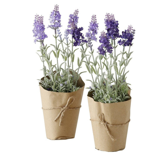 Lavendel Deluxe Homeart 1