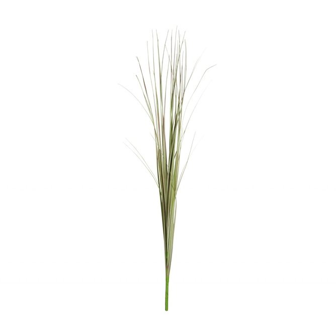 Grasstrauß L: 86 cm