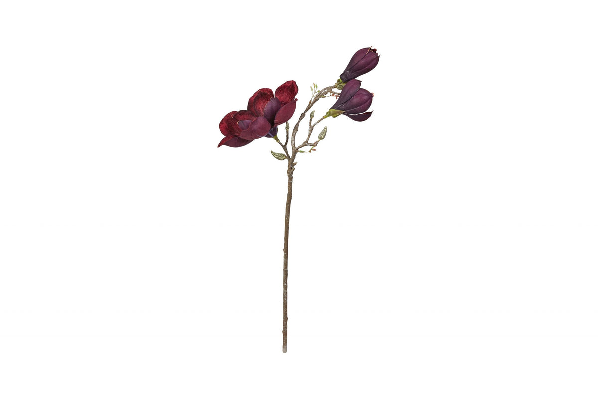 Schöner Magnolienzweig "Aubergine" 70 cm