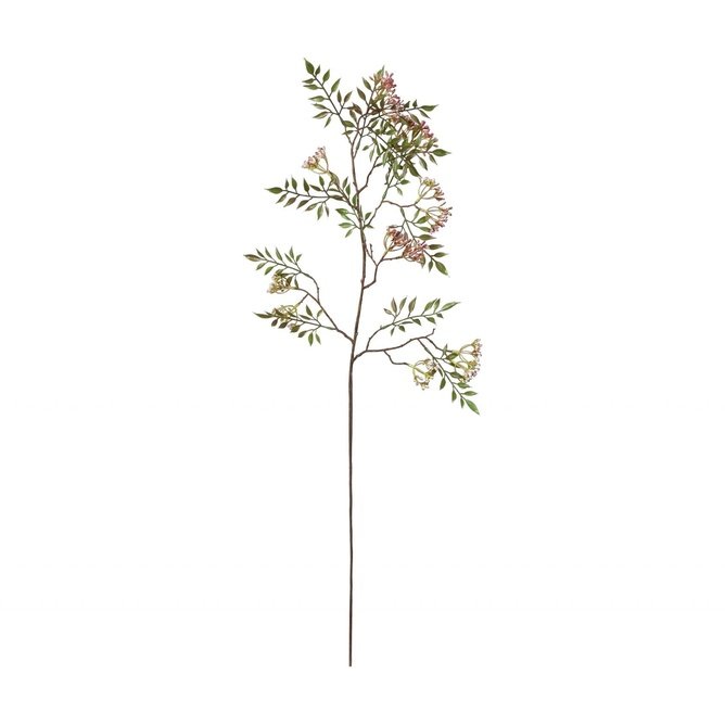 Zweig mit Blume